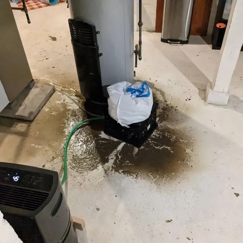 Sewage Backup Cleanup Service in Cherryland, CA